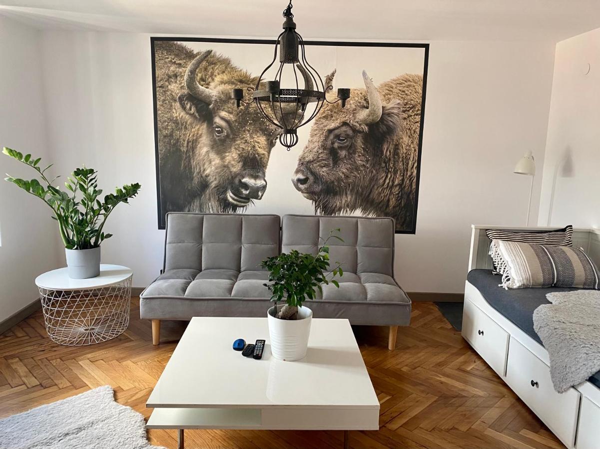 Apartamenty Pod Żabami nr 2 Bezobsługowy Bielsko-Biała Zewnętrze zdjęcie
